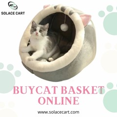 Looking For A Basket For Dogs?