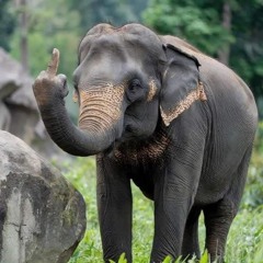 Enter Your MeMe (preview)