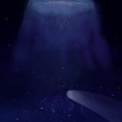 restoration project @🍎orchard 2023