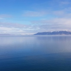 Without You By My Side