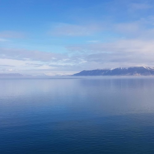 Without You By My Side