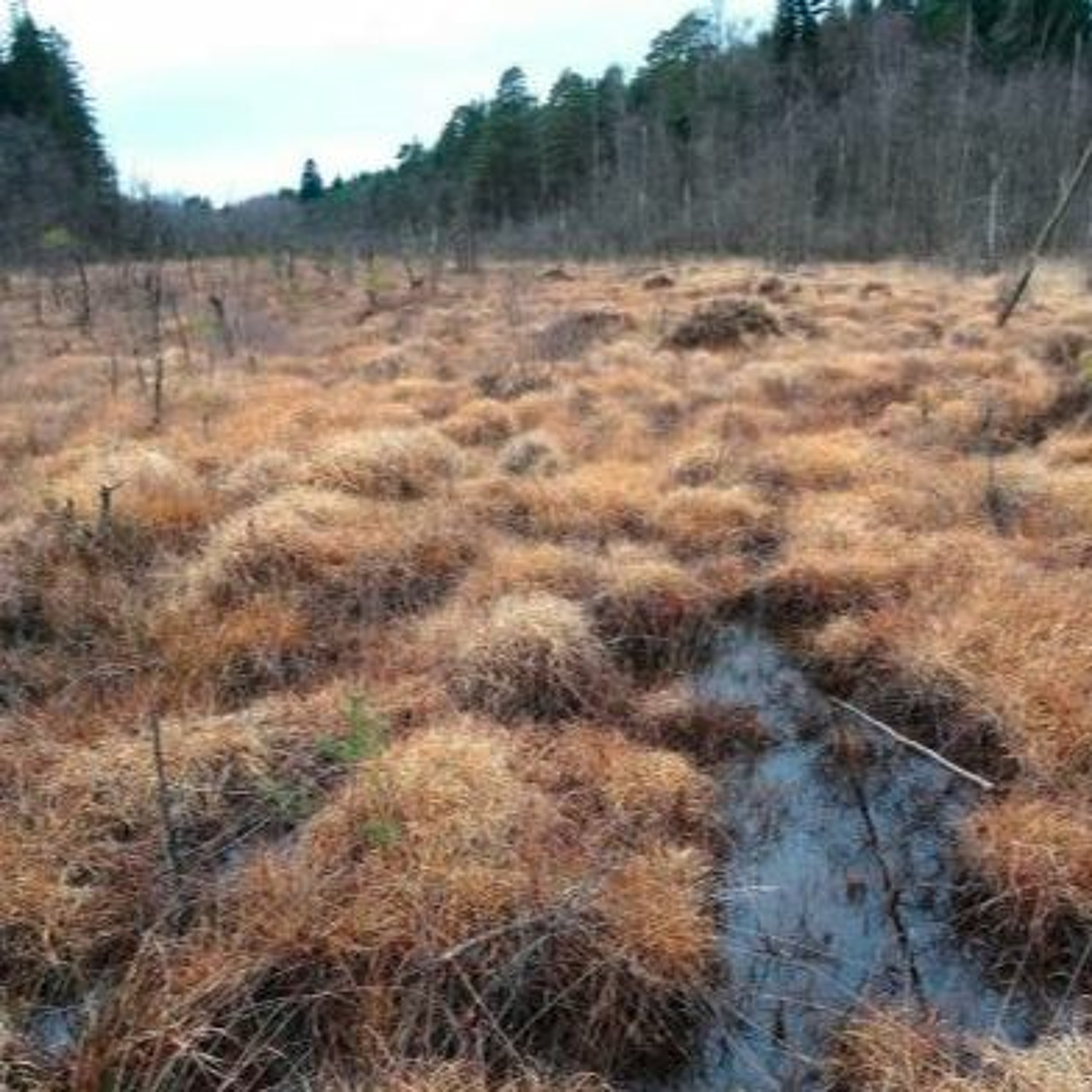 Astronomie - En route vers les etoiles