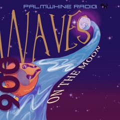 Palmwhine Radio Show #006 (WAVES MEN Takeover)