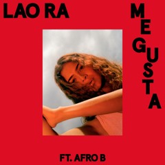 Me Gusta (feat. Afro B)