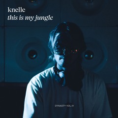 knelle - this is my jungle | afro -> progressive -> melodic