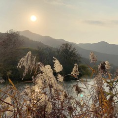 song for a girl that hates me w wvvvydxd