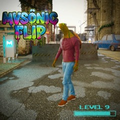 Mport level 9 (MVSONIC Flip)