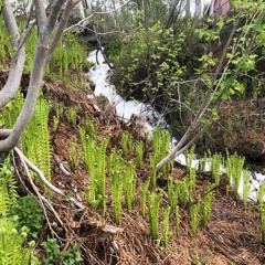 A small waterfall in Sorreisa, Norway