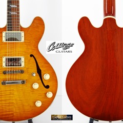 Collings I35 Deluxe 11534 Ch1