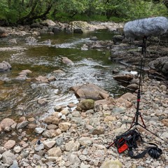2022 FieldRecording Scotland Stream Car Dog Birds