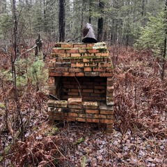 A Carnival Sense of the World