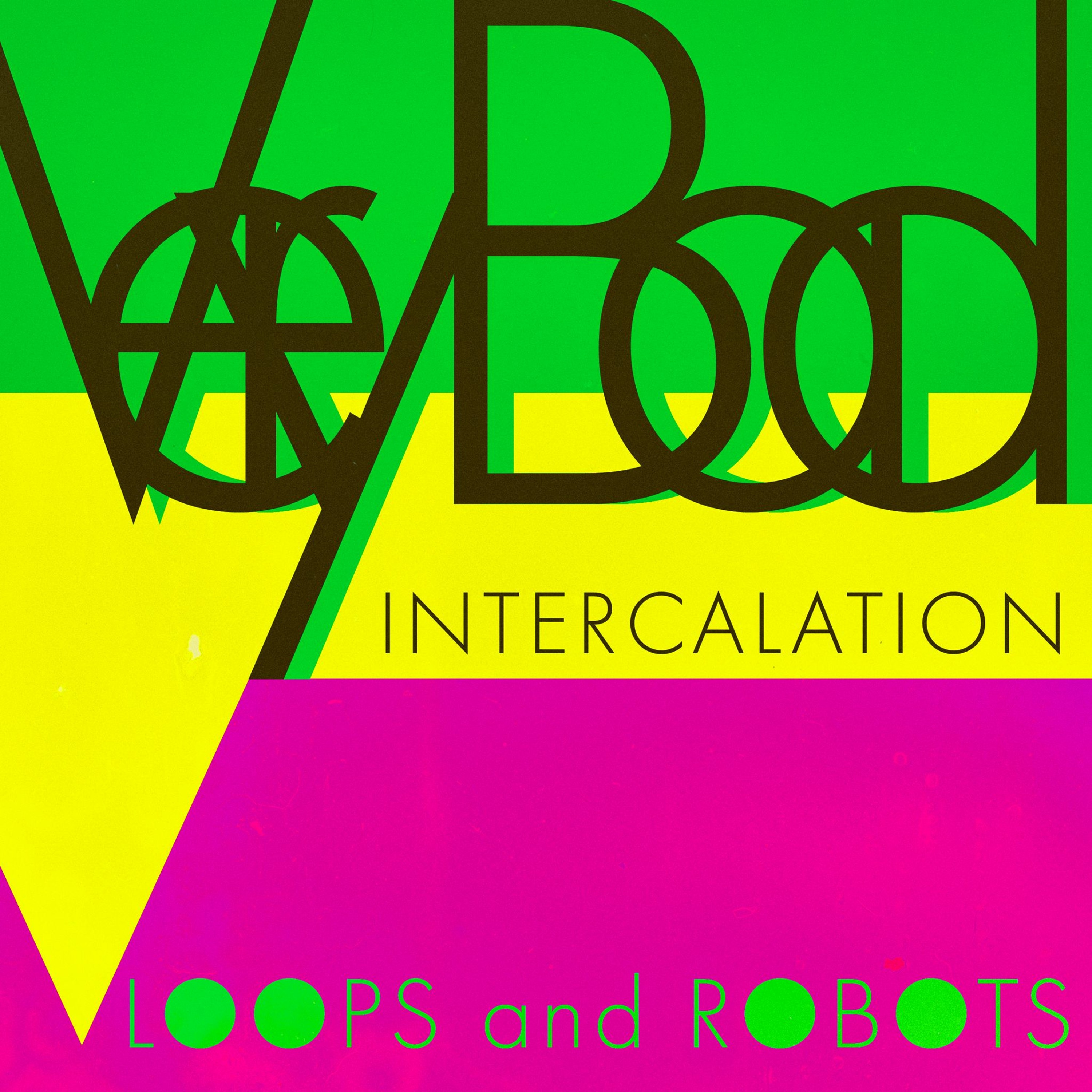 LOOPS and ROBOTS - Very BAD Intercalation episode artwork