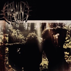 Take It To The Grayve