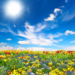 peace and love <3 (perc40)