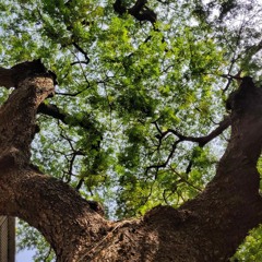 A Cure for Pessimism