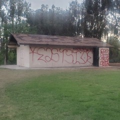 Johnny Roots Reggae Special Vol 5