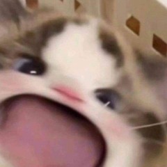 bwl