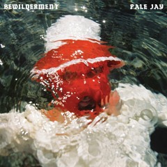 NewSoulRnB