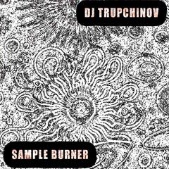 SAMPLE BURNER