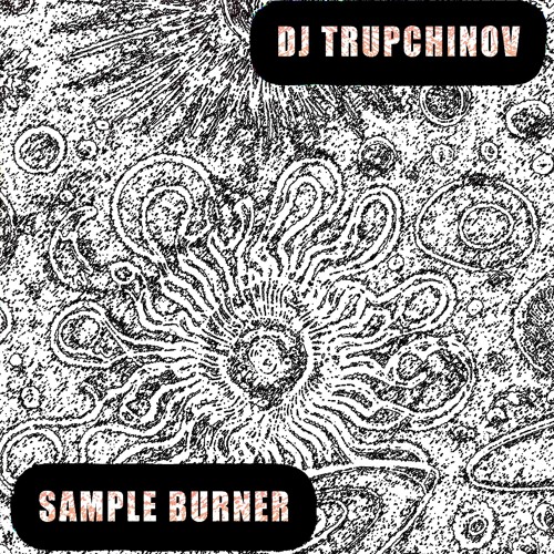 SAMPLE BURNER