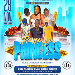 PASSENGER PRINCESS PROMOTIONAL CD SLINGERZ FAMILY DJ PROTOCOL & SELECTOR TALLBOSS