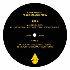 Premiere: Andy Martin feat. Lee Scratch Perry - Revolution (Legowelt Remix)