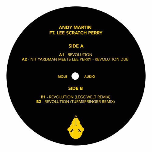 Premiere: Andy Martin feat. Lee Scratch Perry - Revolution (Legowelt Remix)