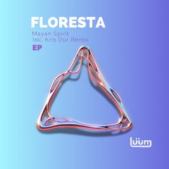 Floresta - Mayan Spirit ( Kris Dur Remix ) [Luum Records]
