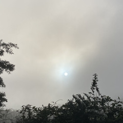 sade - pearls (jungle refix)