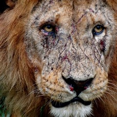 The BassLION (KING Of The Amazon)