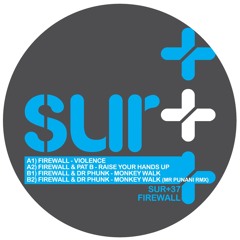 Monkey Walk (Mr Punani remx)