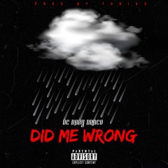 Dc Baby Draco - Did Me Wrong ( Prod By Tobias Platt & Jacobwins )