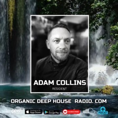 Adam Collins Resident Mix  Harmonic Horizons 011 - 13 April 2024 (ODH-RADIO)