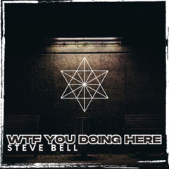 WTF You Doing Here - Steve Bell