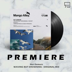 PREMIERE: Not Demure - Waving But Drowning (Original Mix) [MANGO ALLEY]