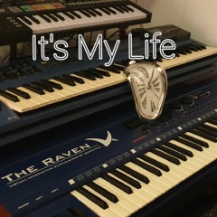 It`s My Life feat. Mrs.Synthia