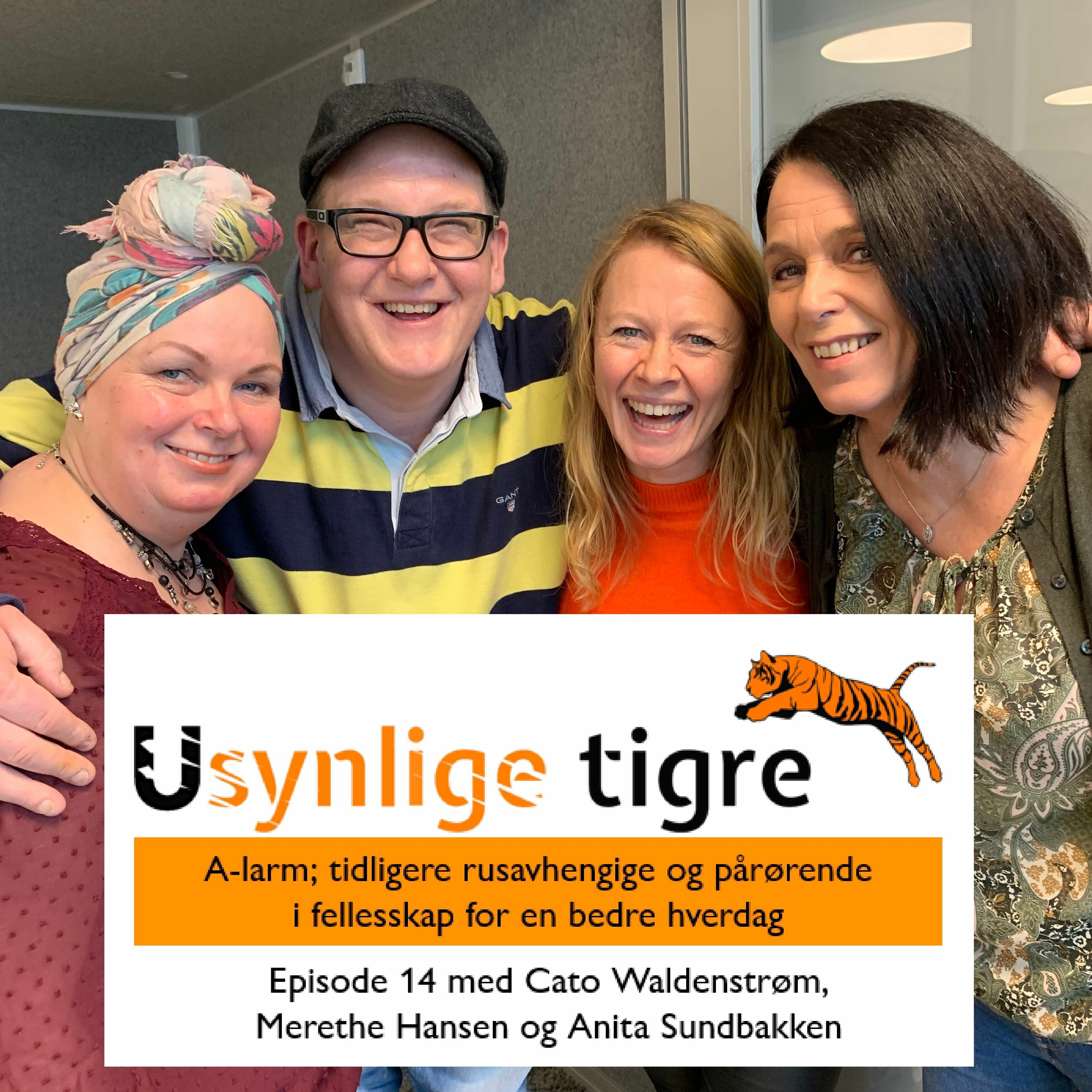 Usynlige tigre-podden