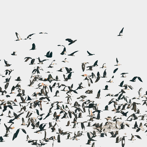 reflection under summer evening skies