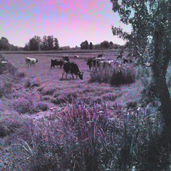 ]] •   R€MIxE∫  &  ØRIGIN∆L • [[