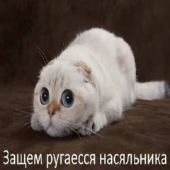 мой протест против капитолистов (много_бабок).цфц