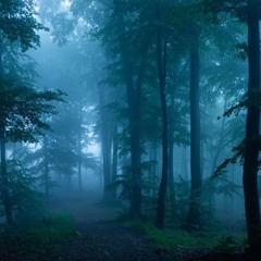 u got a problem (prodsims)