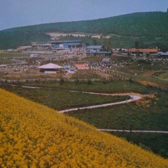 MINAKO YOSHIDA - 恋は流星 (LIVE) | GREEN GREEN MUSIC FESTIVAL at 千葉マザー牧場 1977/07/29