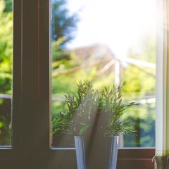 Home Beneath The Sun