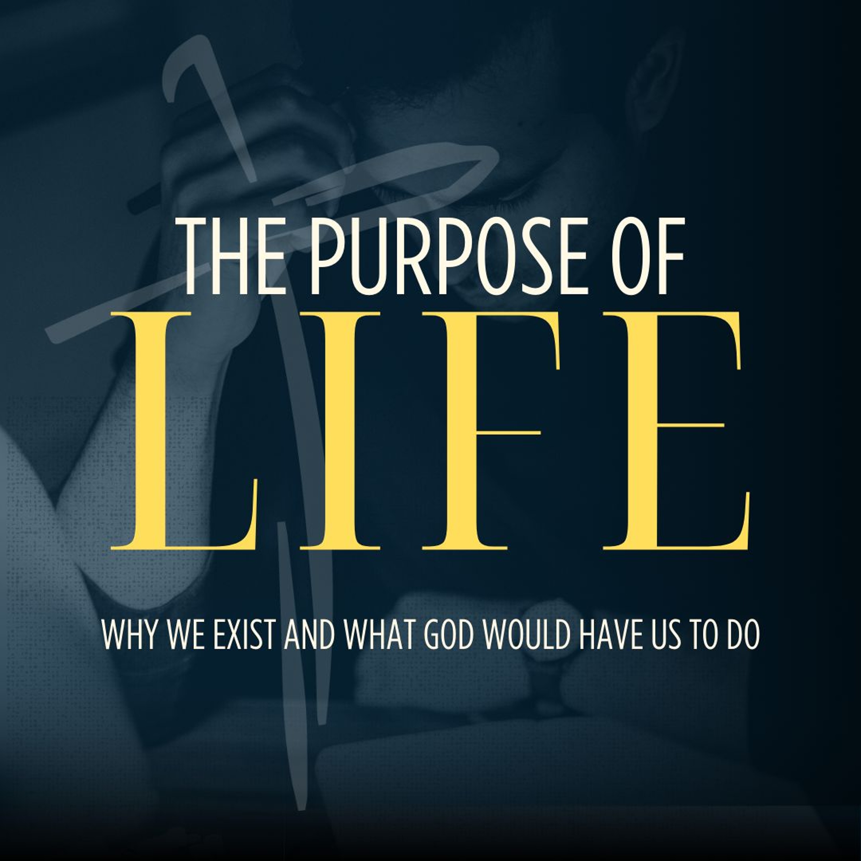 The Purpose of Life Week 8