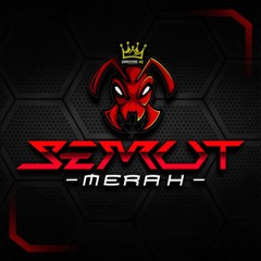 TERBANG BERSAMA SEMUT MERAH ( SEMUT MERAH CRT 02 X AIDIL ZHIMICHU ) DIAMOND PRIVATEE PUNYA SM !!!