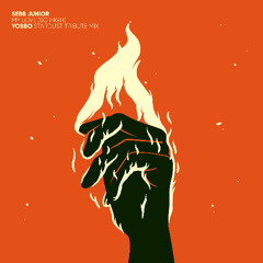 PREMIERE: Sebb Junior - I Really Love You [Lisztomania Records]