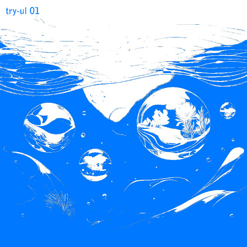 Unknown Artist - Try-ul 01