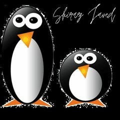 The Penguin Show (Episode 092) - Guest Mix Shiraz Javed