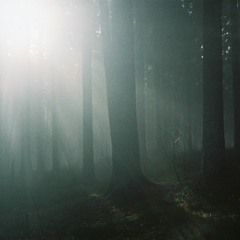 III