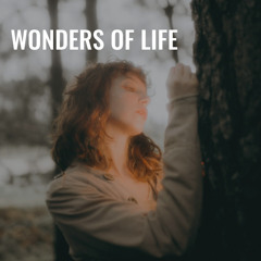 Wonders of Life